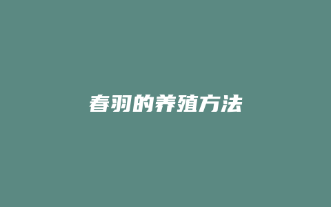 春羽的养殖方法