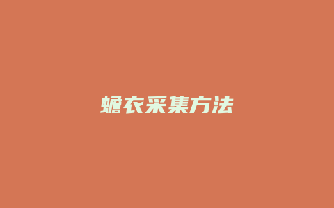 蟾衣采集方法