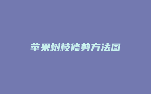 苹果树枝修剪方法图