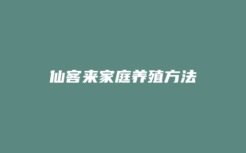 仙客来家庭养殖方法