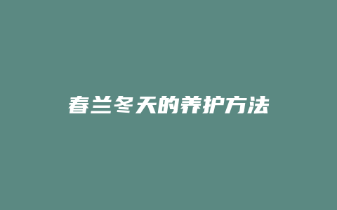 春兰冬天的养护方法