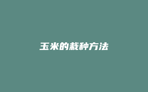 玉米的栽种方法