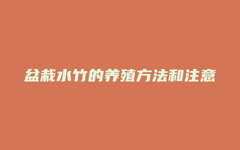 盆栽水竹的养殖方法和注意事项