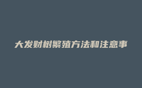 大发财树繁殖方法和注意事项