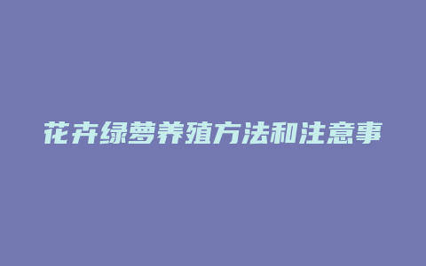 花卉绿萝养殖方法和注意事项