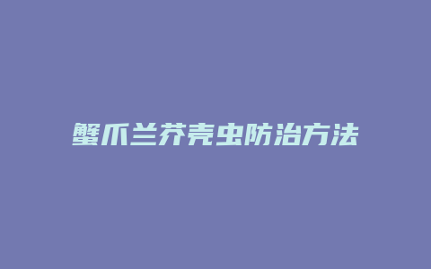 蟹爪兰芥壳虫防治方法