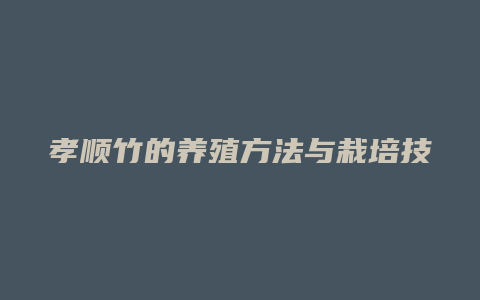 孝顺竹的养殖方法与栽培技术