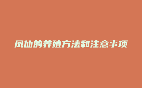 凤仙的养殖方法和注意事项