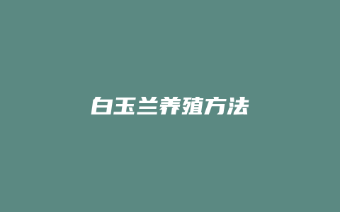 白玉兰养殖方法