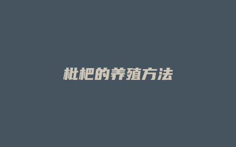 枇杷的养殖方法