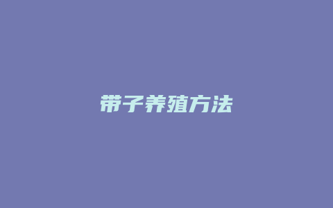 带子养殖方法