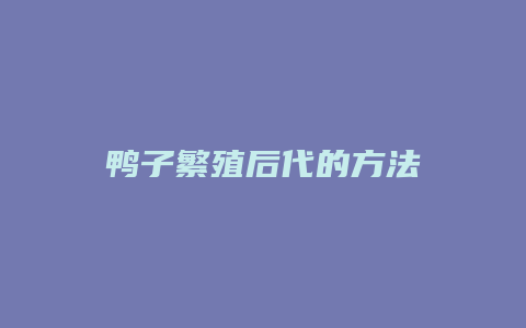 鸭子繁殖后代的方法