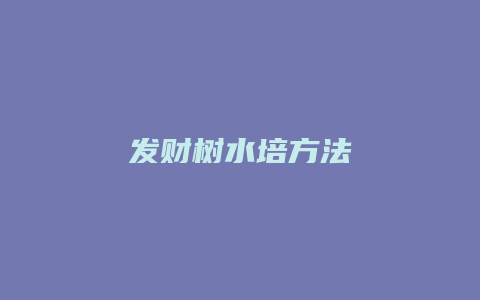 发财树水培方法