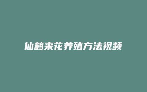 仙鹤来花养殖方法视频