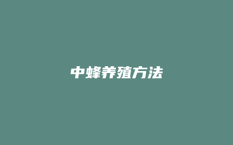 中蜂养殖方法