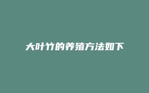 大叶竹的养殖方法如下