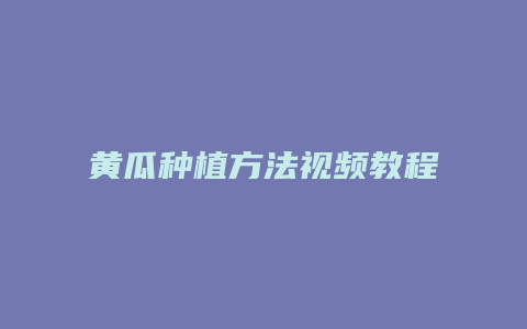 黄瓜种植方法视频教程