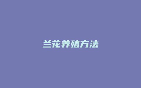 兰花养殖方法