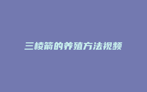 三棱箭的养殖方法视频