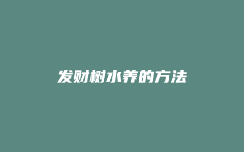 发财树水养的方法