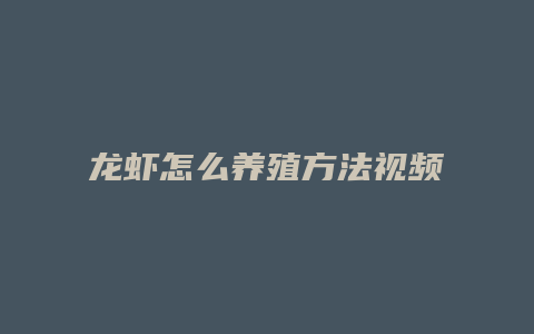 龙虾怎么养殖方法视频