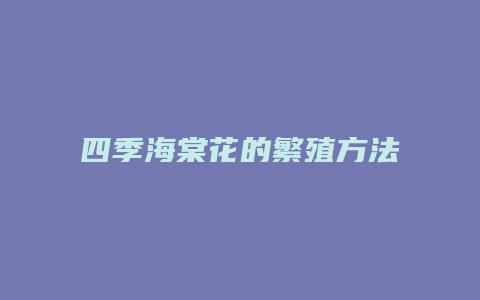 四季海棠花的繁殖方法