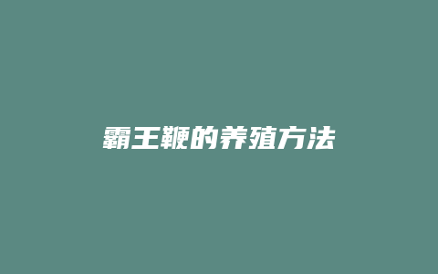 霸王鞭的养殖方法