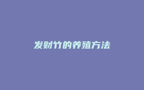 发财竹的养殖方法