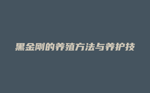 黑金刚的养殖方法与养护技巧