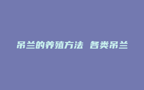 吊兰的养殖方法 各类吊兰养殖注意事项