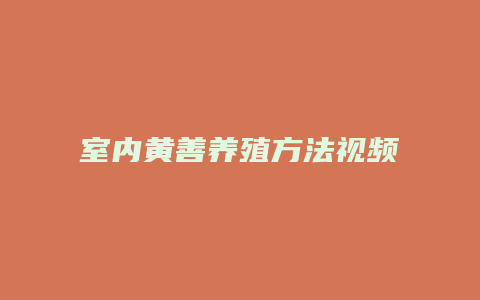 室内黄善养殖方法视频