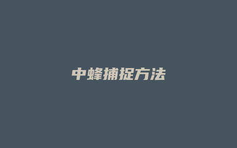 中蜂捕捉方法