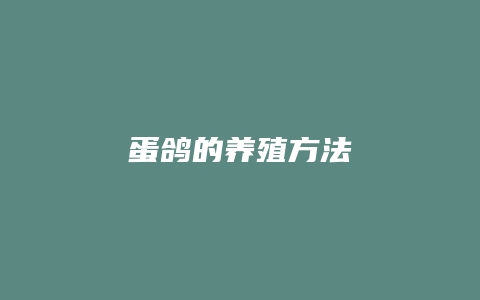 蛋鸽的养殖方法