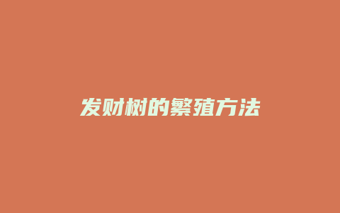 发财树的繁殖方法