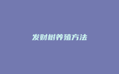 发财树养殖方法