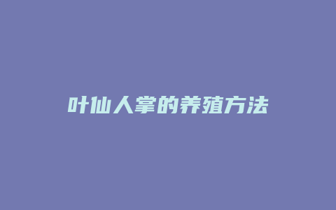 叶仙人掌的养殖方法