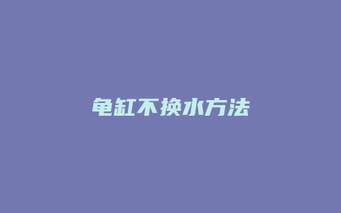 龟缸不换水方法