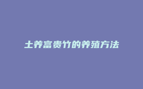 土养富贵竹的养殖方法