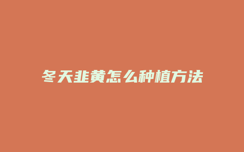 冬天韭黄怎么种植方法