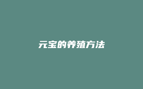 元宝的养殖方法