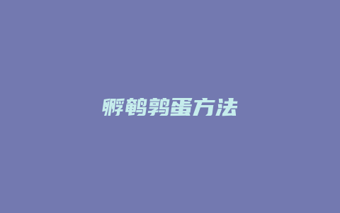 孵鹌鹑蛋方法