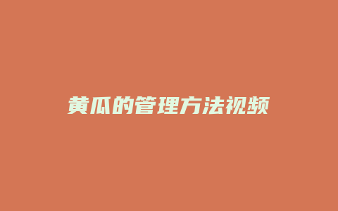 黄瓜的管理方法视频