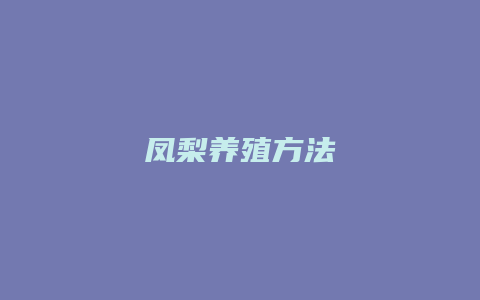 凤梨养殖方法