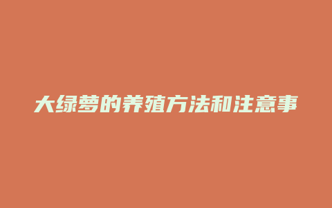 大绿萝的养殖方法和注意事项有哪些