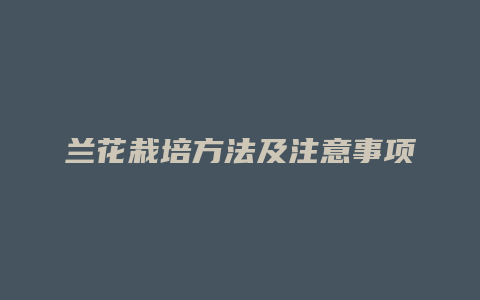 兰花栽培方法及注意事项