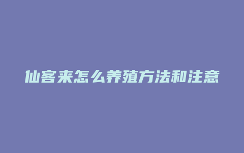 仙客来怎么养殖方法和注意事项