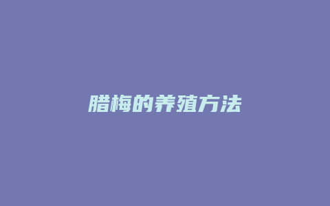 腊梅的养殖方法