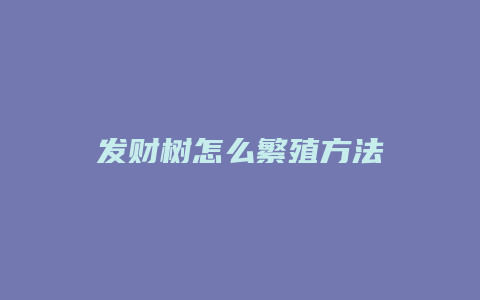 发财树怎么繁殖方法