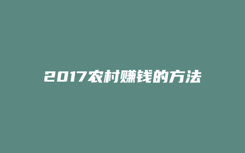 2017农村赚钱的方法