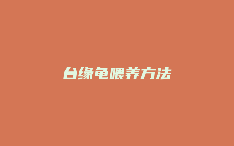 台缘龟喂养方法